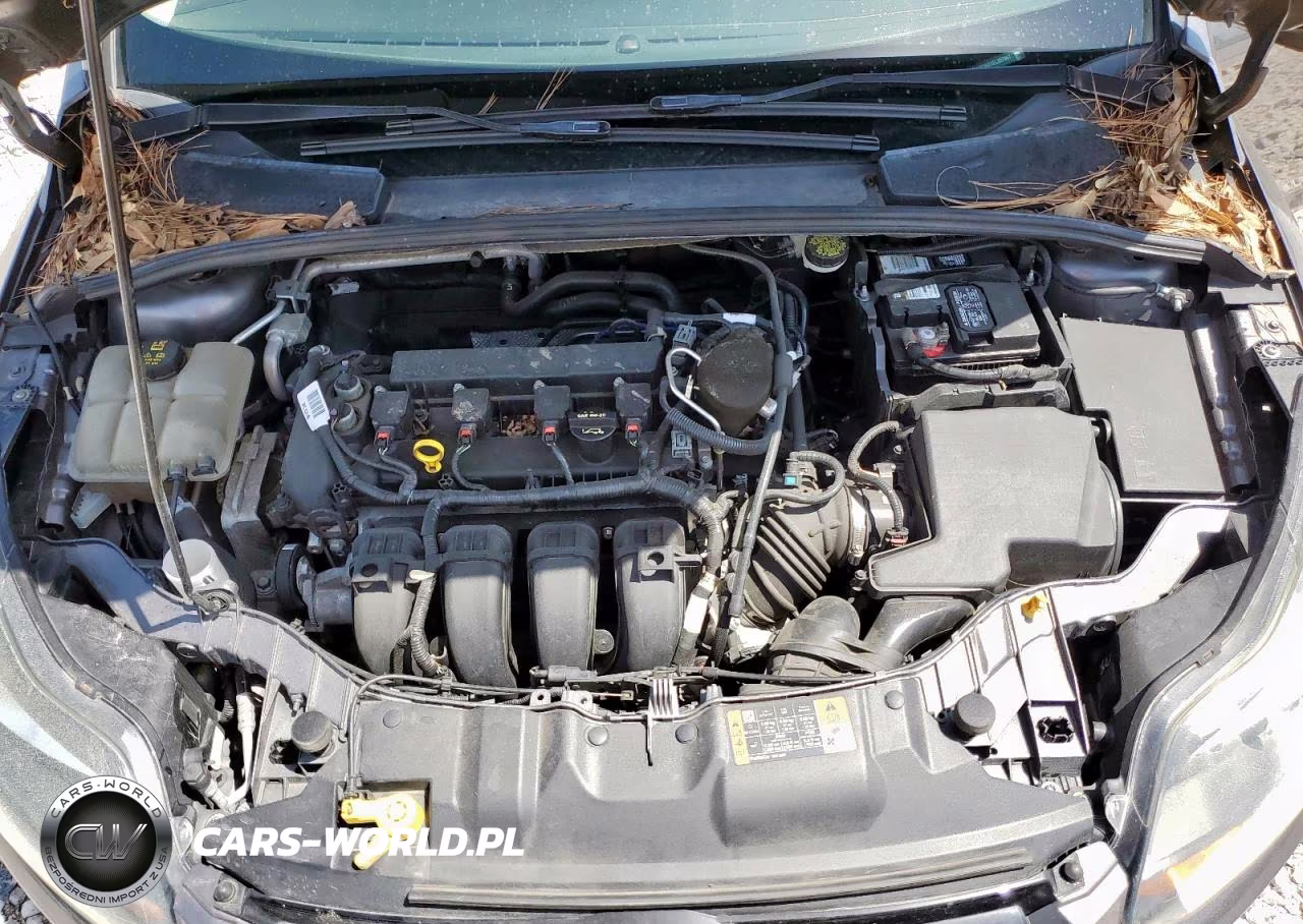 2014 Ford Focus Titanium VIN:1FADP3N2XEL357867 - 12