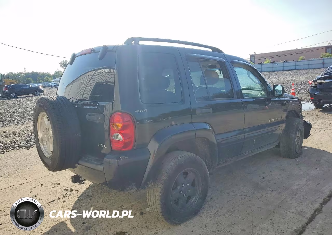 2002 Jeep Liberty Limited VIN:1J8GL58K62W246231 - 3