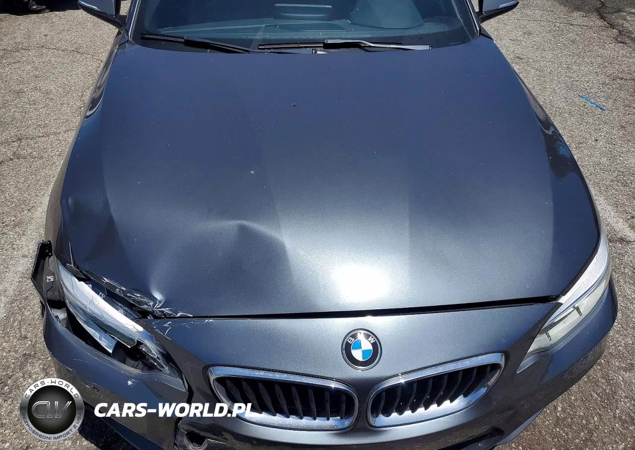 2016 BMW M235I VIN:WBA1M1C58GV394007 - 11
