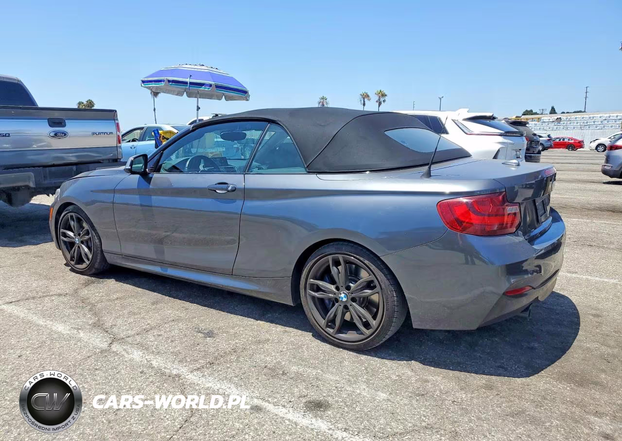 2016 BMW M235I VIN:WBA1M1C58GV394007 - 2