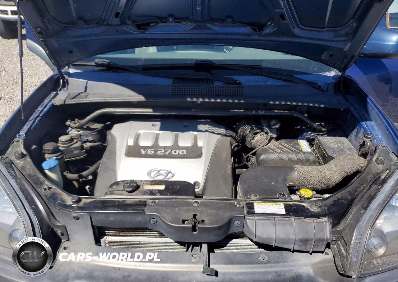 2005 Hyundai Tucson Gls VIN:KM8JN12D35U182820 - 12