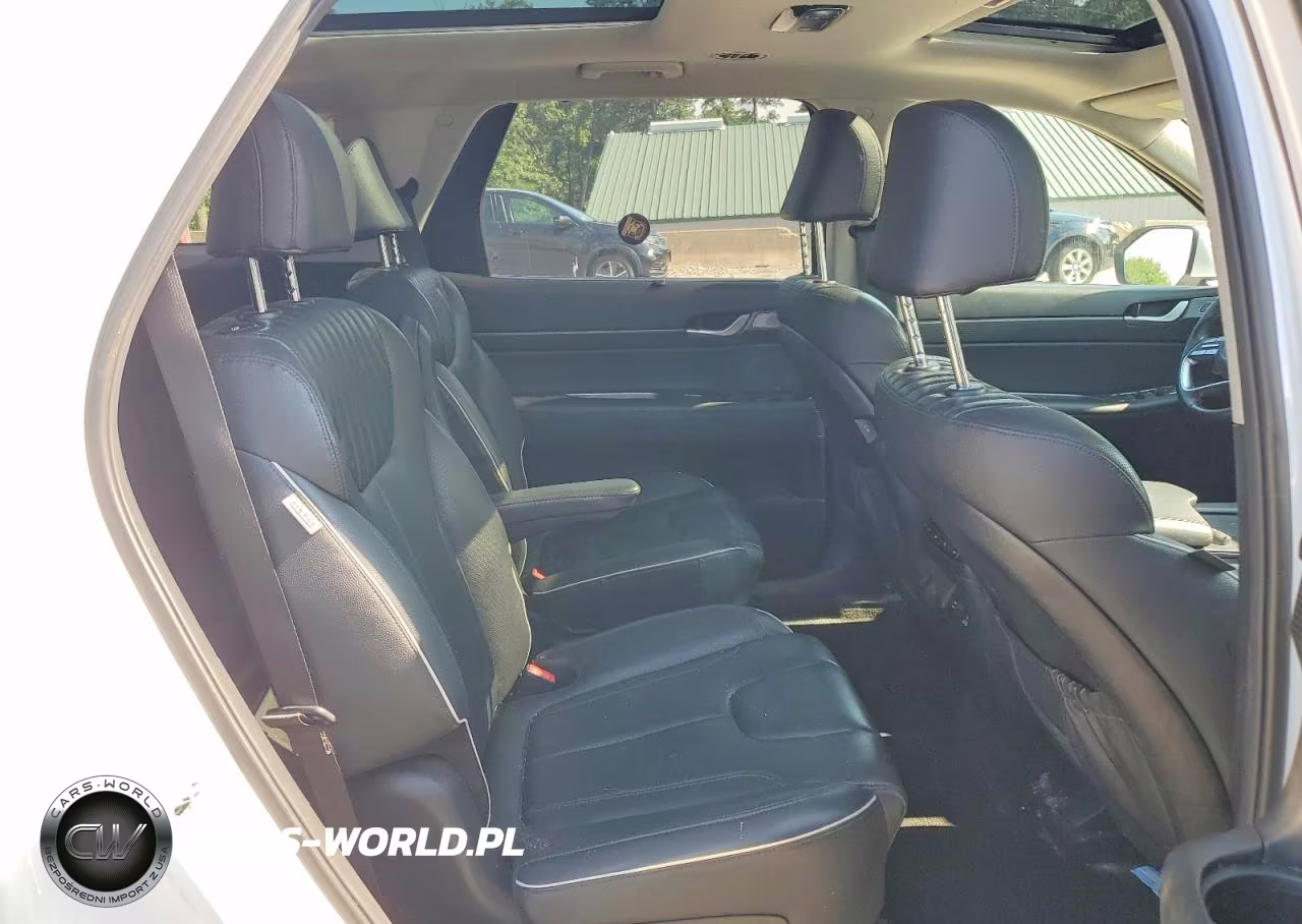 2023 Hyundai Palisade Limited VIN:KM8R5DGE2PU528946 - 11