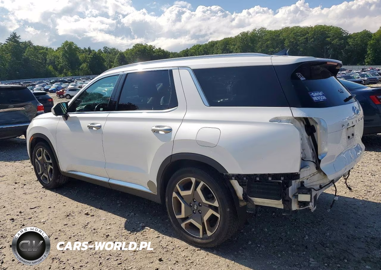2023 Hyundai Palisade Limited VIN:KM8R5DGE2PU528946 - 2