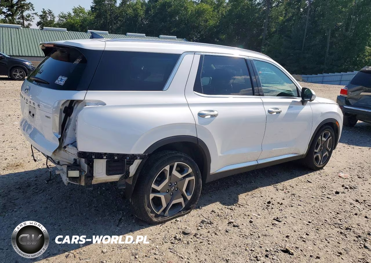 2023 Hyundai Palisade Limited VIN:KM8R5DGE2PU528946 - 3