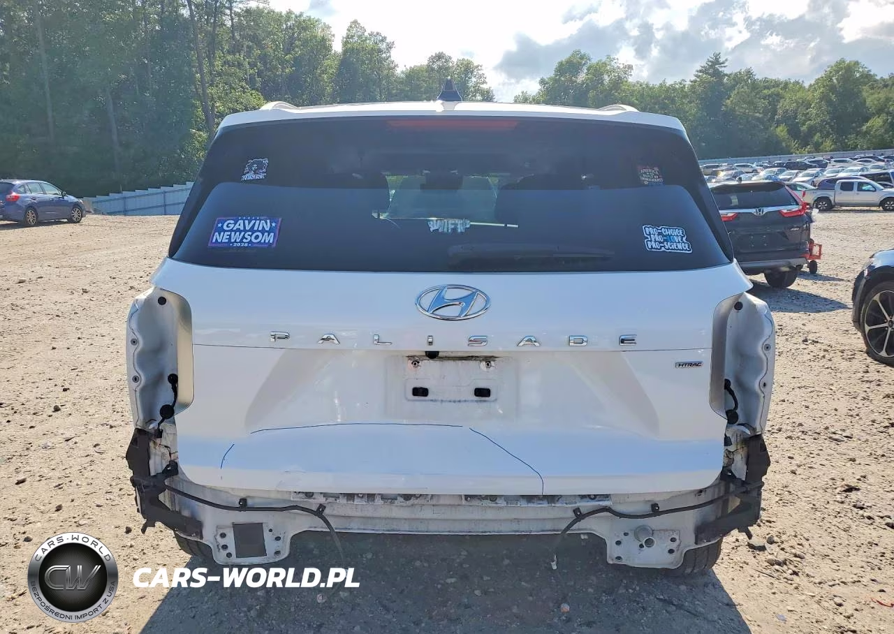 2023 Hyundai Palisade Limited VIN:KM8R5DGE2PU528946 - 6