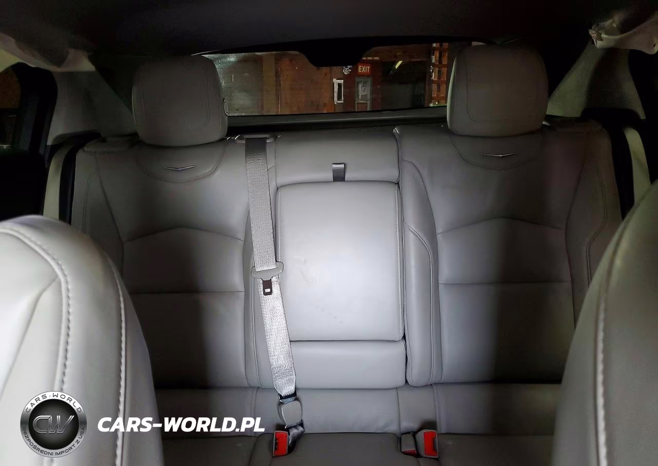 2019 Cadillac Xt4 Premium Luxury VIN:1GYFZDR40KF229009 - 10