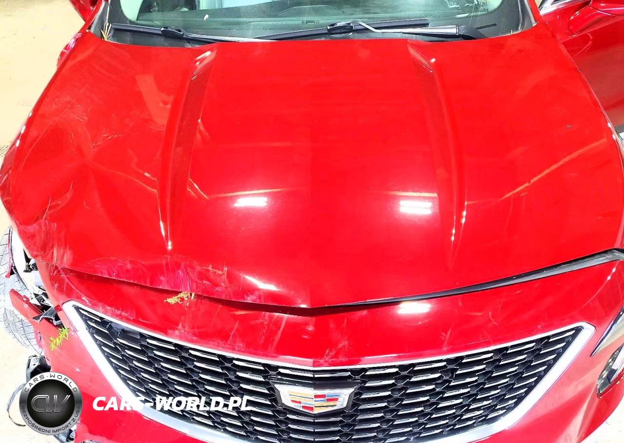2019 Cadillac Xt4 Premium Luxury VIN:1GYFZDR40KF229009 - 12