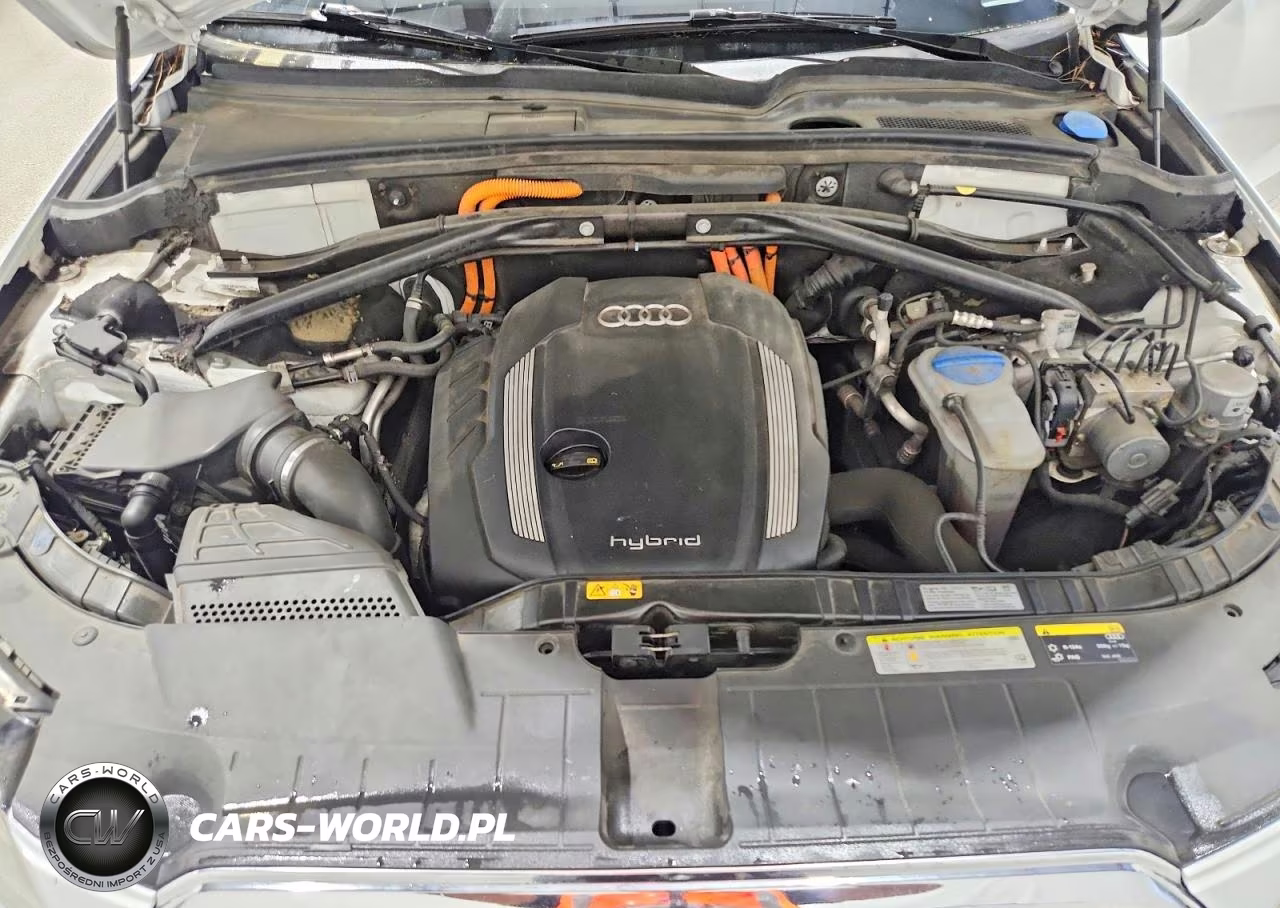 2014 Audi Q5 Premium Hybrid VIN:WA1C8AFP2EA069283 - 12