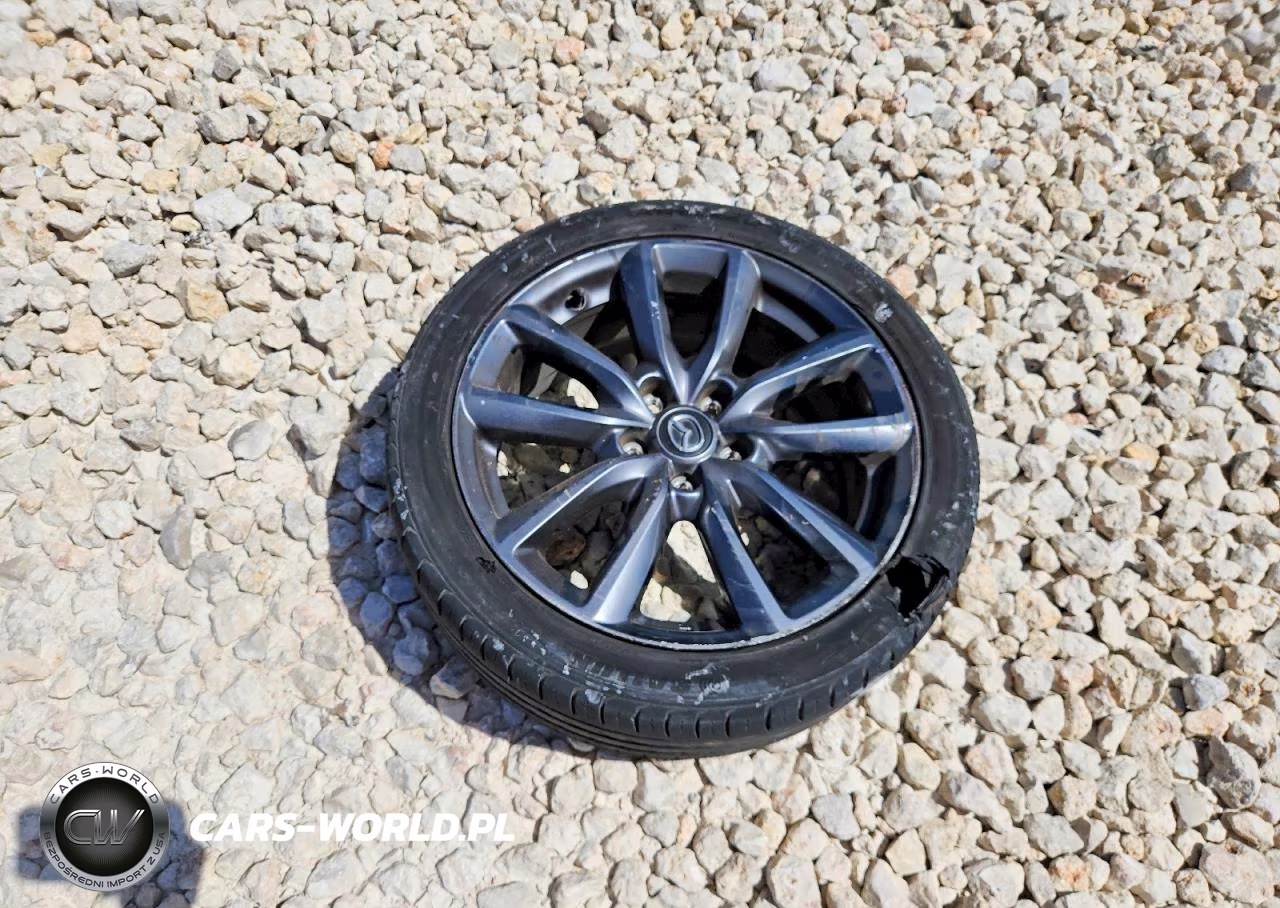 2019 Mazda 3 Preferred VIN:JM1BPAMMXK1146751 - 12