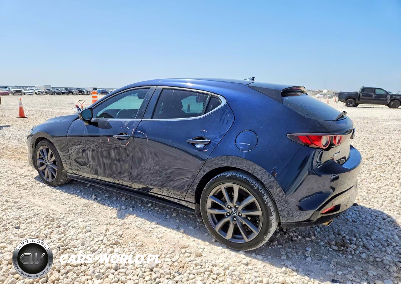 2019 Mazda 3 Preferred VIN:JM1BPAMMXK1146751 - 2
