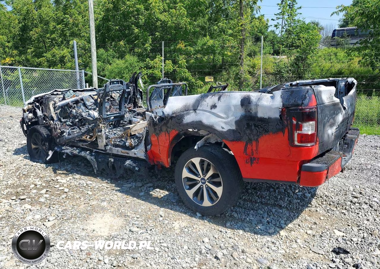2019 Ford F150 Supercrew VIN:1FTEW1EP6KFD12310 - 2