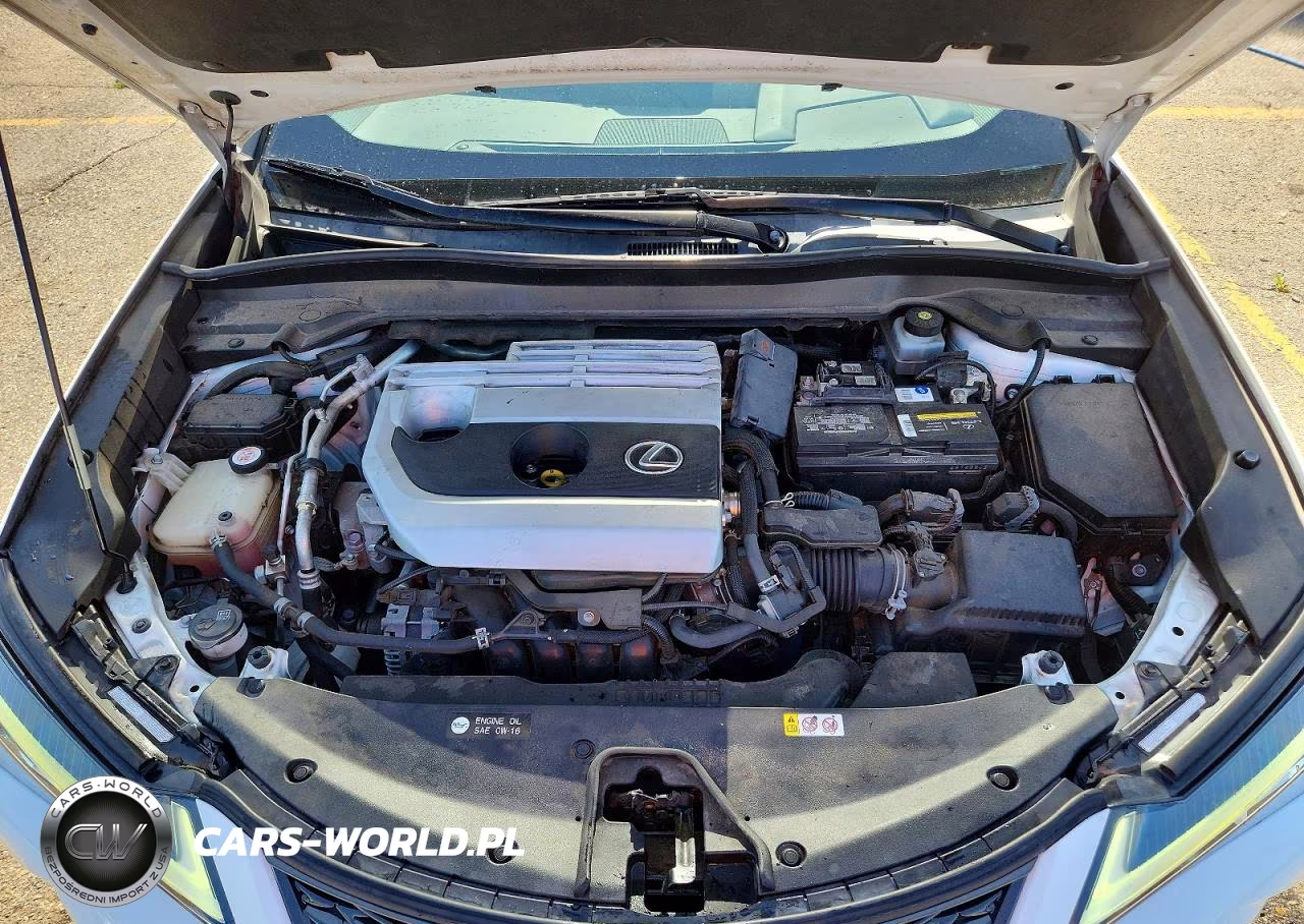 2019 Lexus Ux 200 VIN:JTHY3JBH7K2010131 - 12