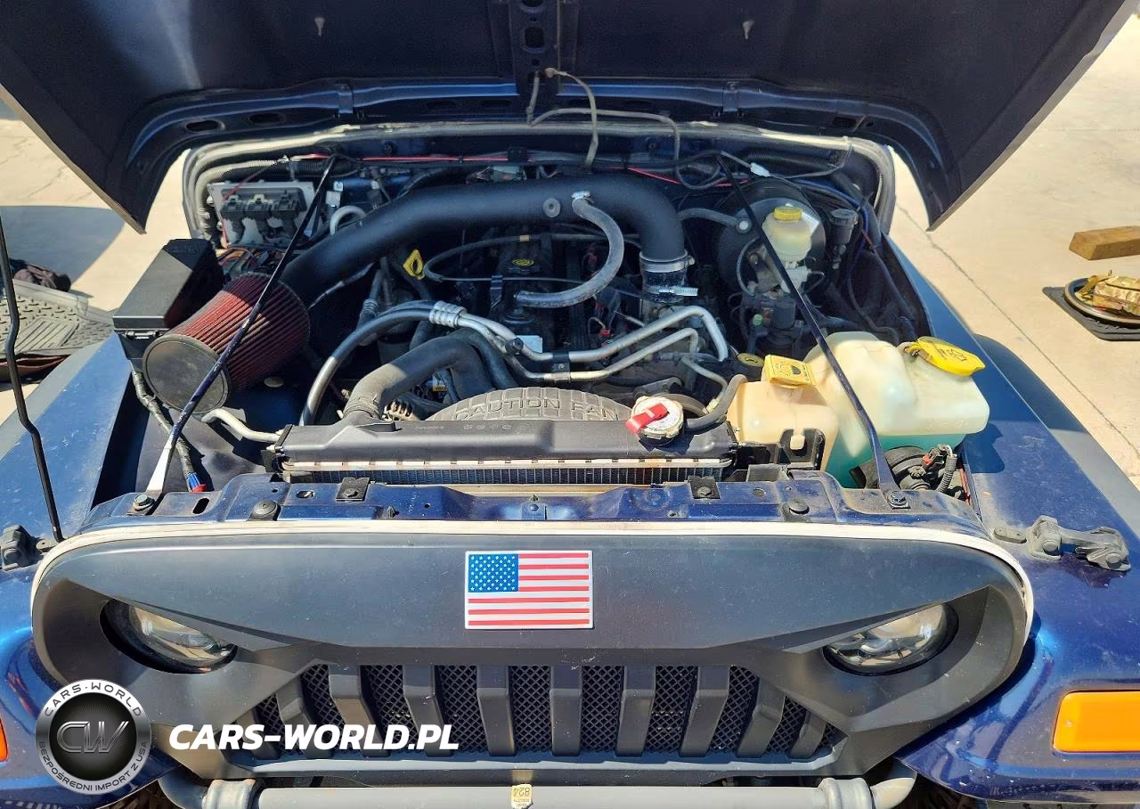 2004 Jeep Wrangler X VIN:1J4FA39S44P715979 - 11