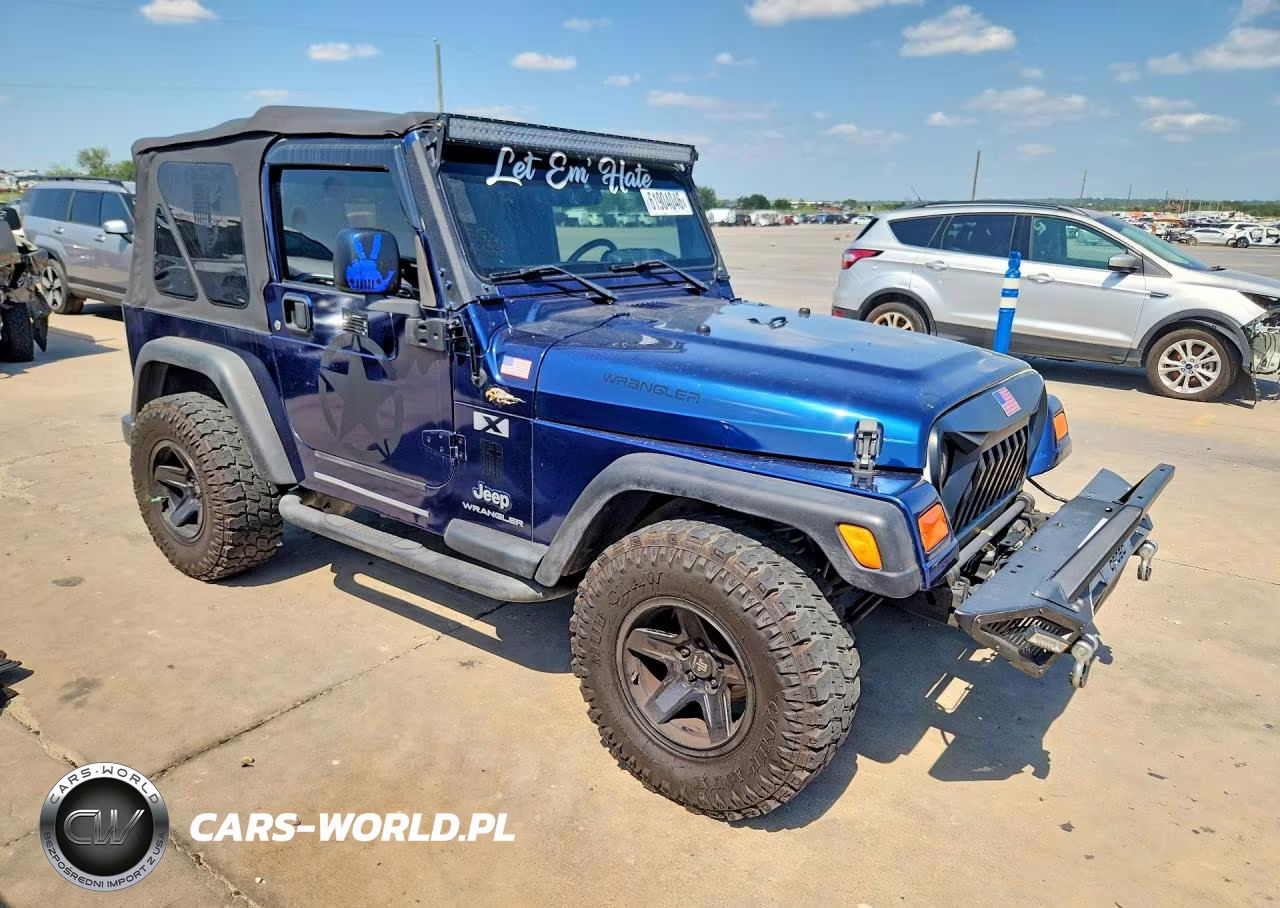 2004 Jeep Wrangler X VIN:1J4FA39S44P715979 - 4
