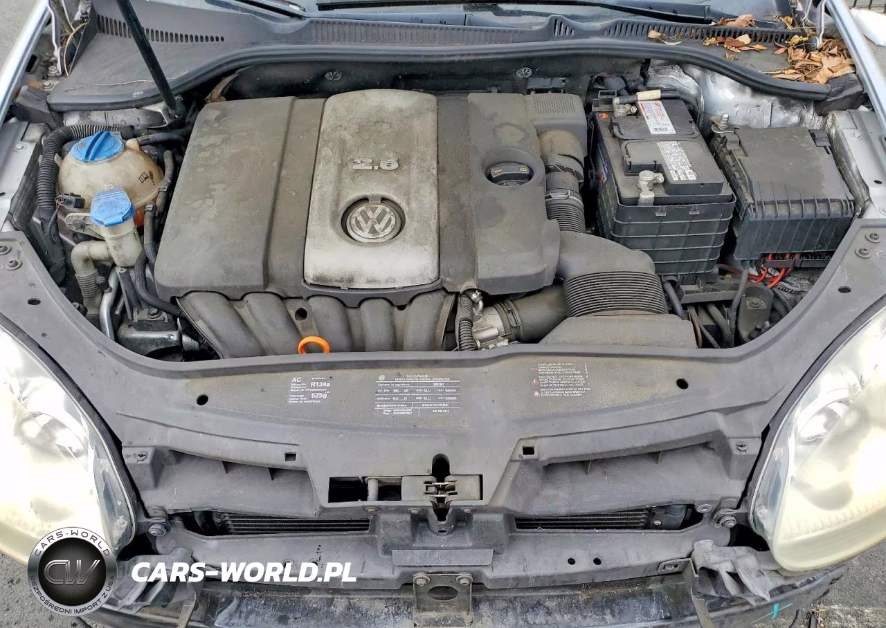 2009 Volkswagen Rabbit VIN:WVWDB71K49W138591 - 11
