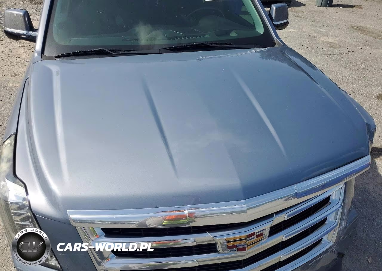 2015 Cadillac Escalade Premium VIN:1GYS4NKJXFR622569 - 12