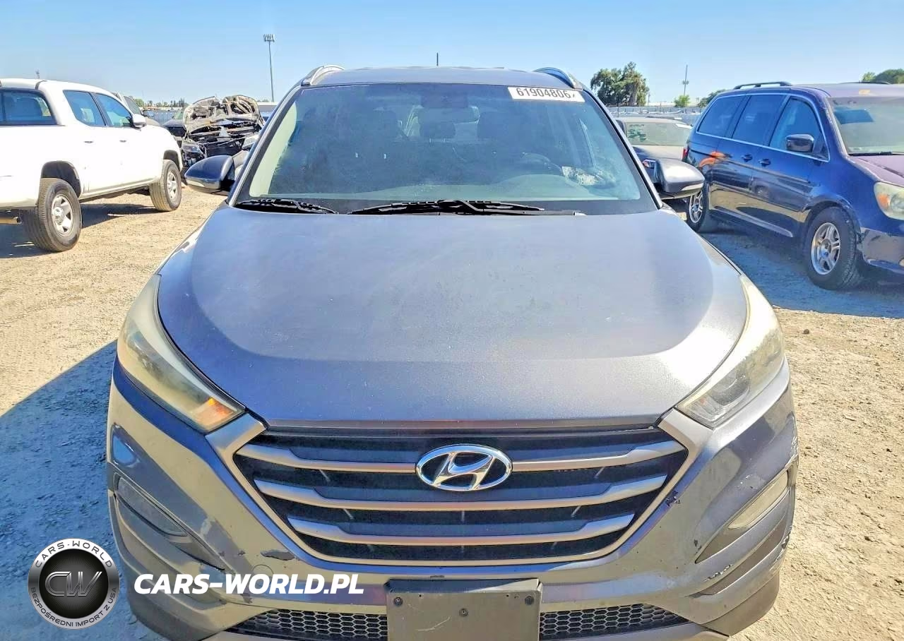 2016 Hyundai Tucson Sport VIN:KM8J33A29GU112842 - 5