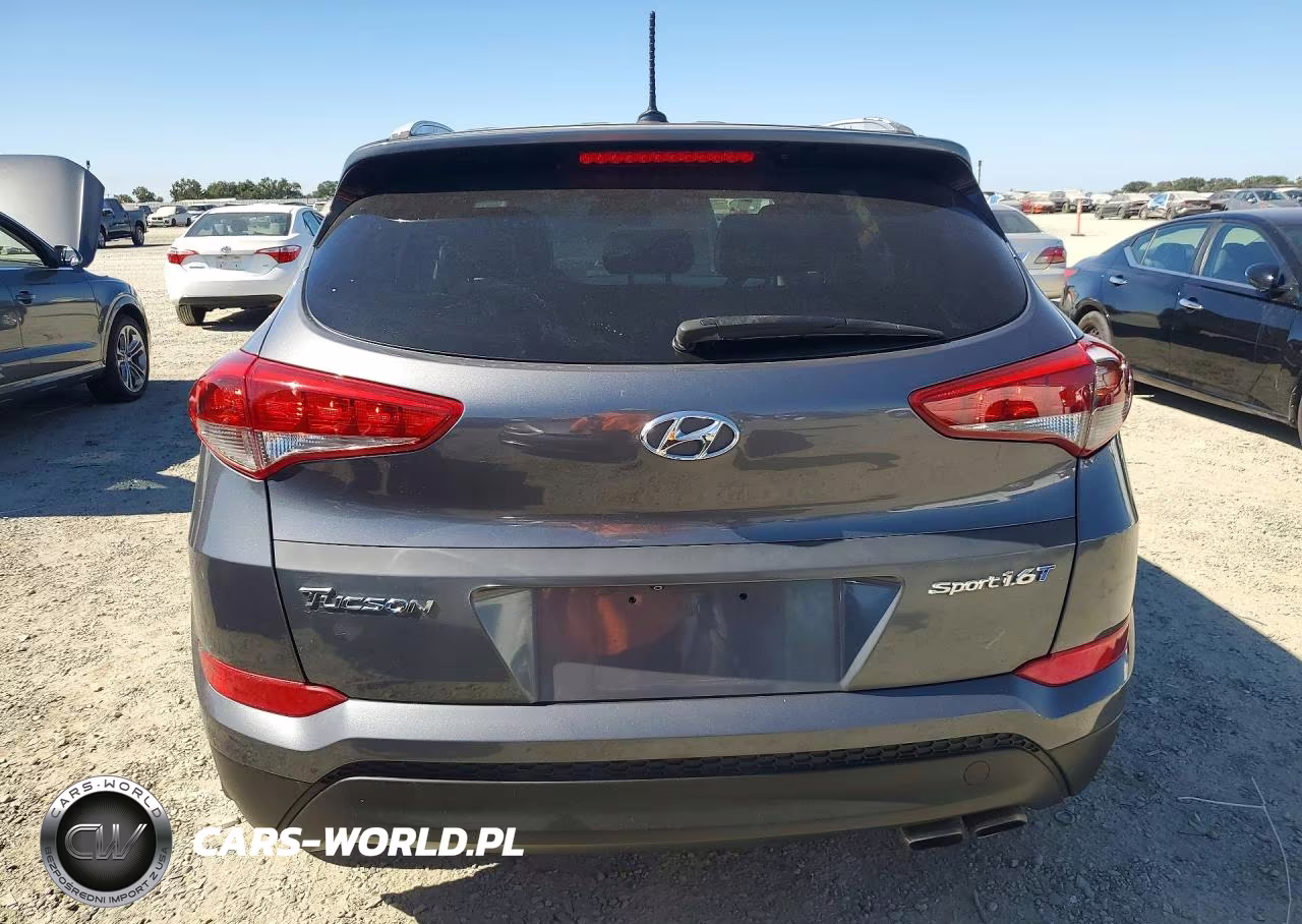2016 Hyundai Tucson Sport VIN:KM8J33A29GU112842 - 6