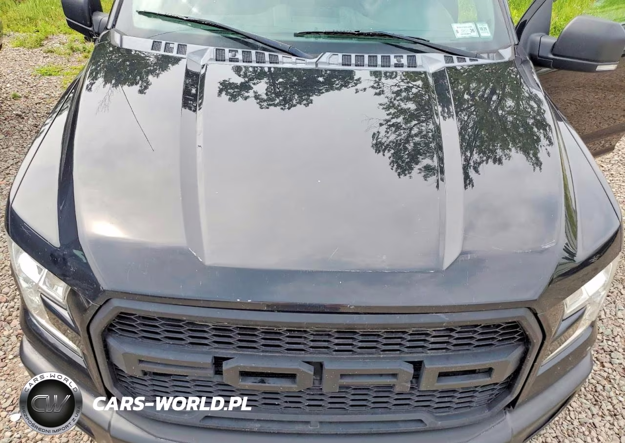 2016 Ford F150 Supercrew VIN:1FTEW1EGXGFD51277 - 11
