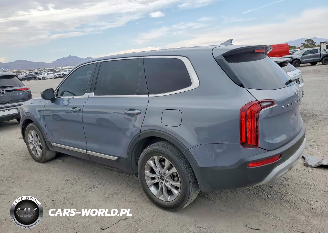 2020 Kia Telluride Lx VIN:5XYP24HC1LG006886 - 2