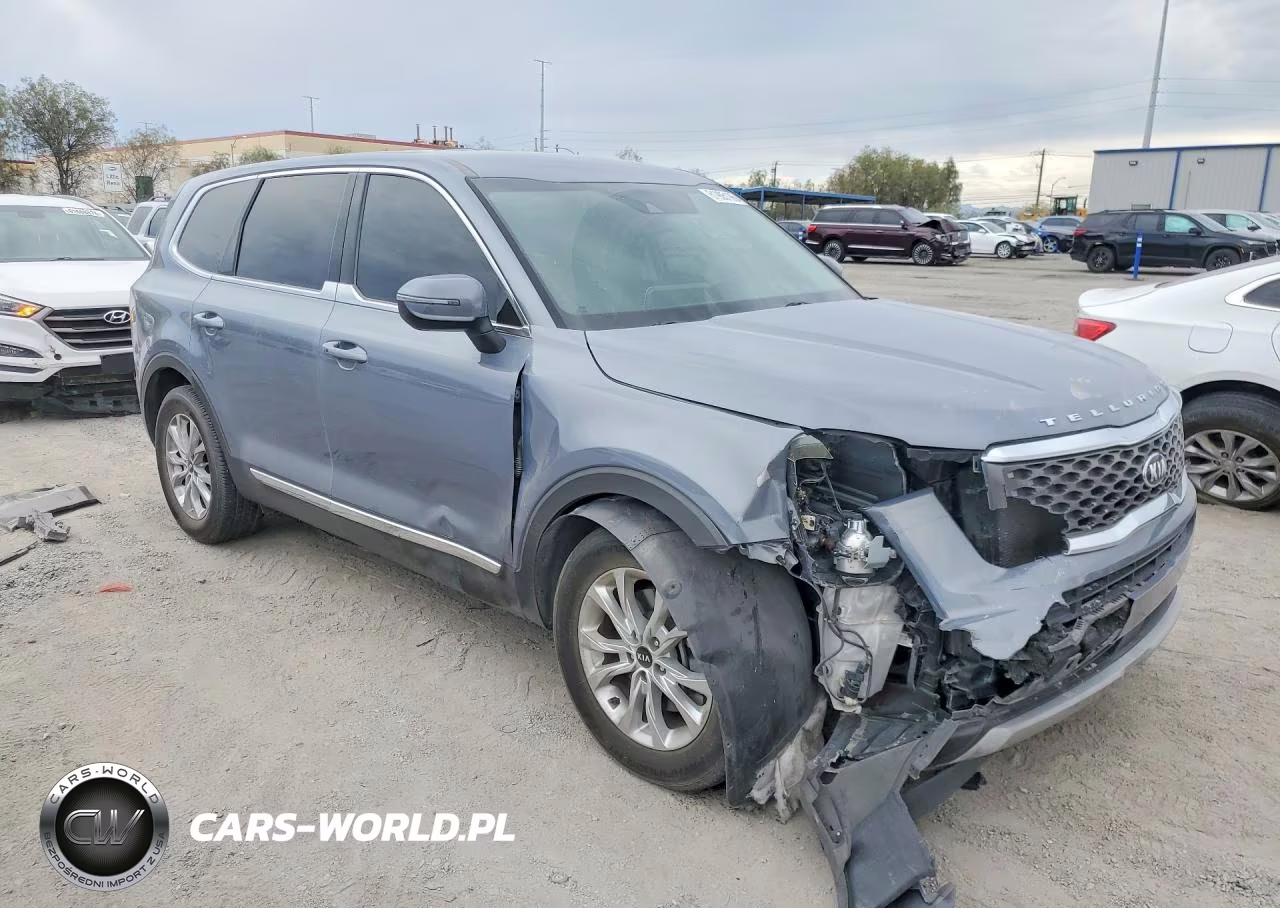 2020 Kia Telluride Lx VIN:5XYP24HC1LG006886 - 4