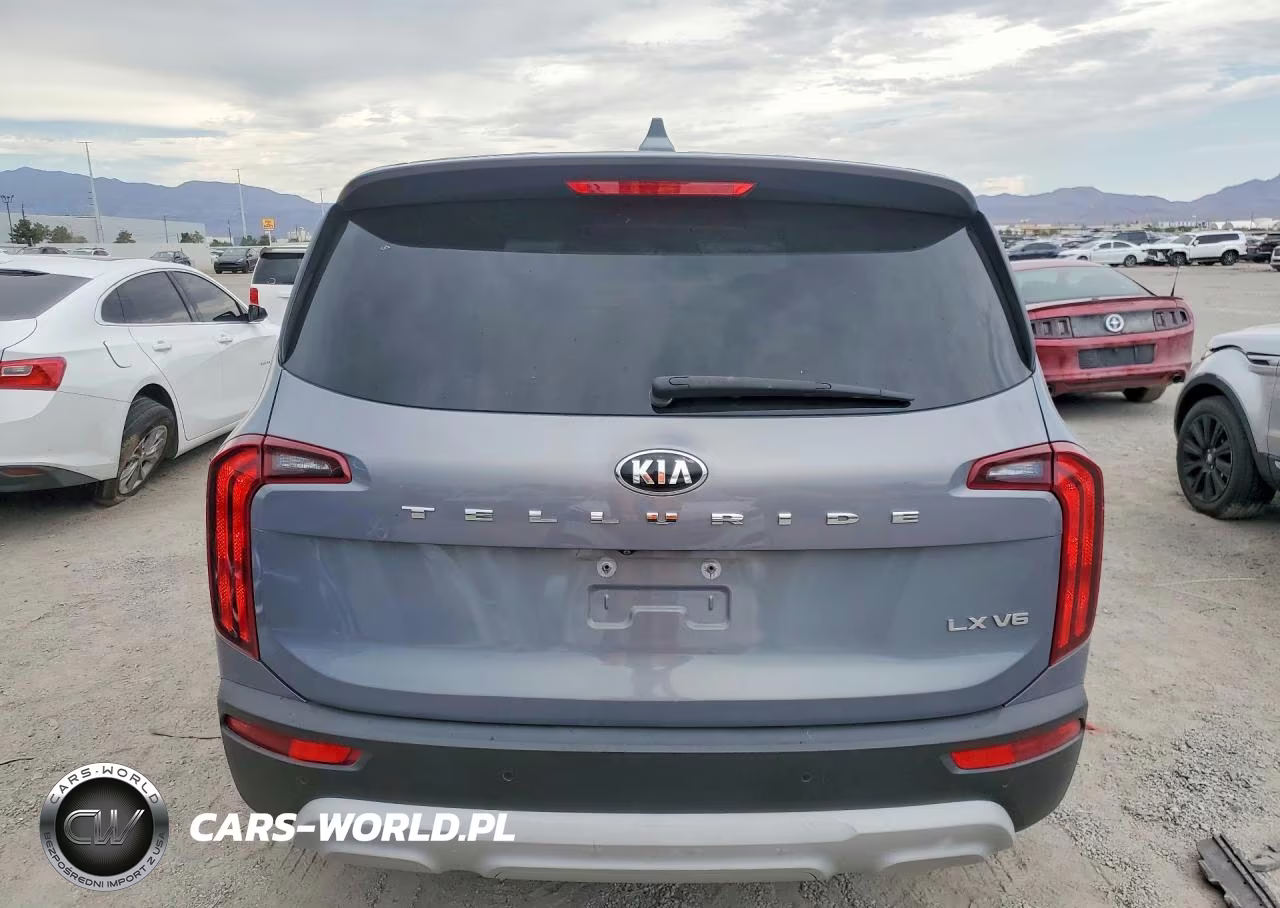 2020 Kia Telluride Lx VIN:5XYP24HC1LG006886 - 6