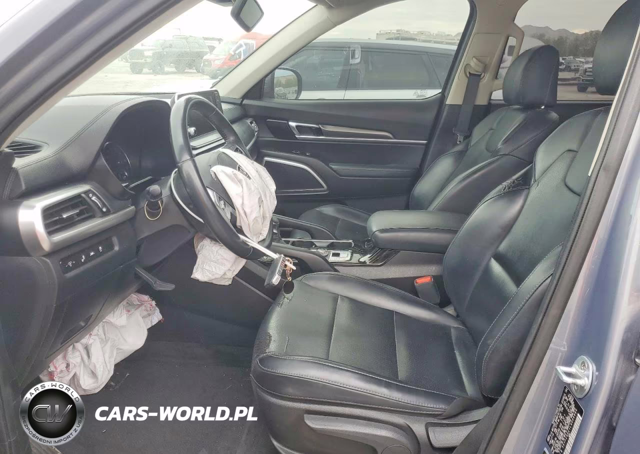 2020 Kia Telluride Lx VIN:5XYP24HC1LG006886 - 7