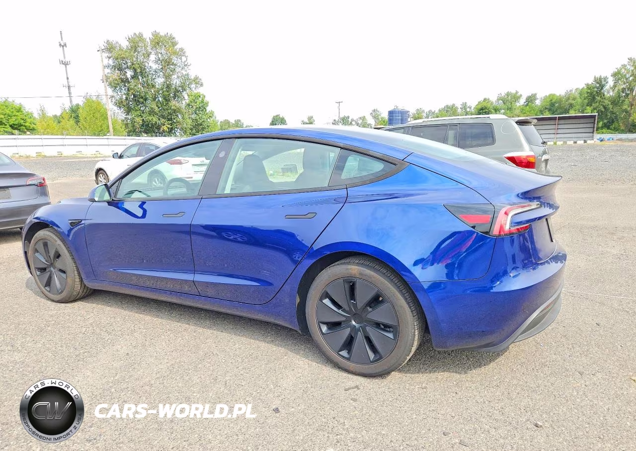 2025 Tesla Model 3 VIN:5YJ3E1EA1SF054398 - 2