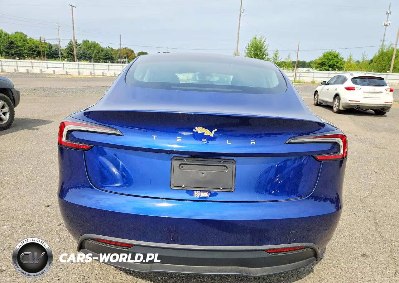 2025 Tesla Model 3 VIN:5YJ3E1EA1SF054398 - 6