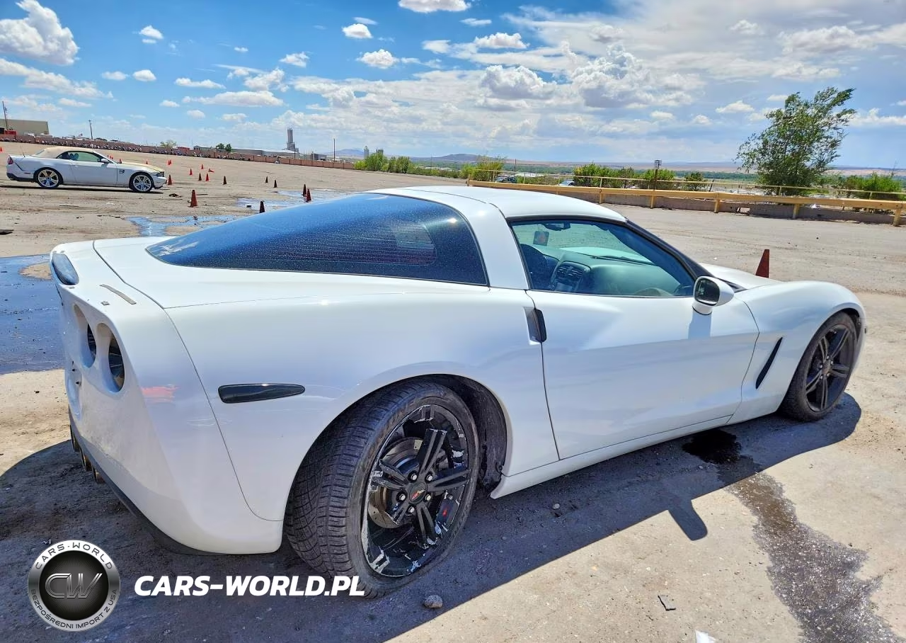 2010 Chevrolet Corvette VIN:1G1YE2DW0A5101437 - 3