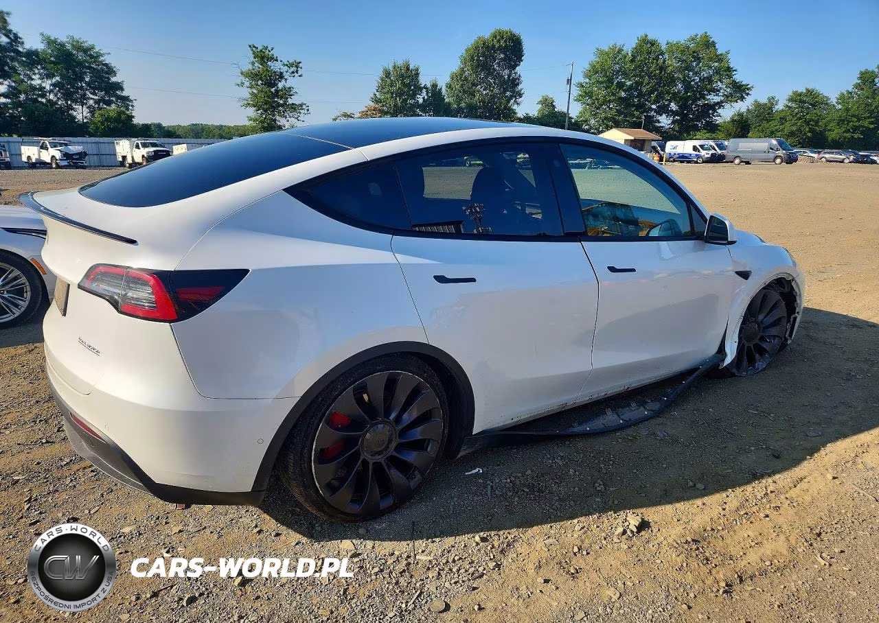 2022 Tesla Model Y VIN:7SAYGDEF9NF377716 - 3