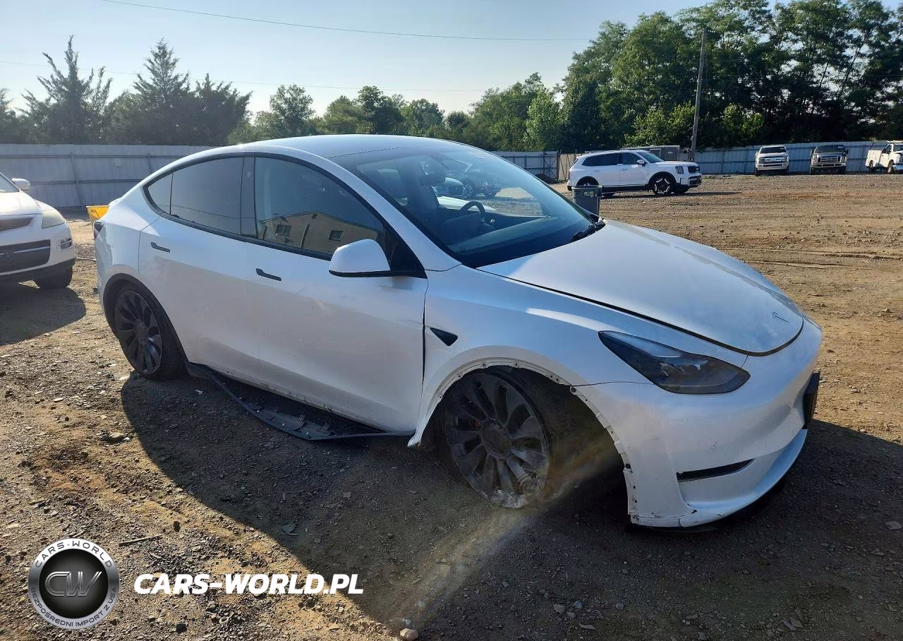 2022 Tesla Model Y VIN:7SAYGDEF9NF377716 - 4