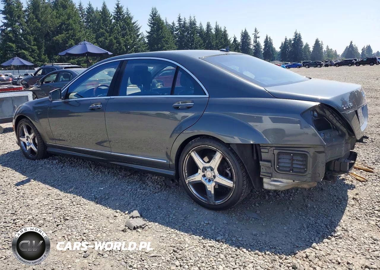 2010 Mercedes-Benz S 550 VIN:WDDNG7BB7AA316358 - 2