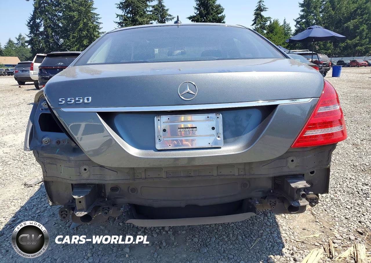 2010 Mercedes-Benz S 550 VIN:WDDNG7BB7AA316358 - 6