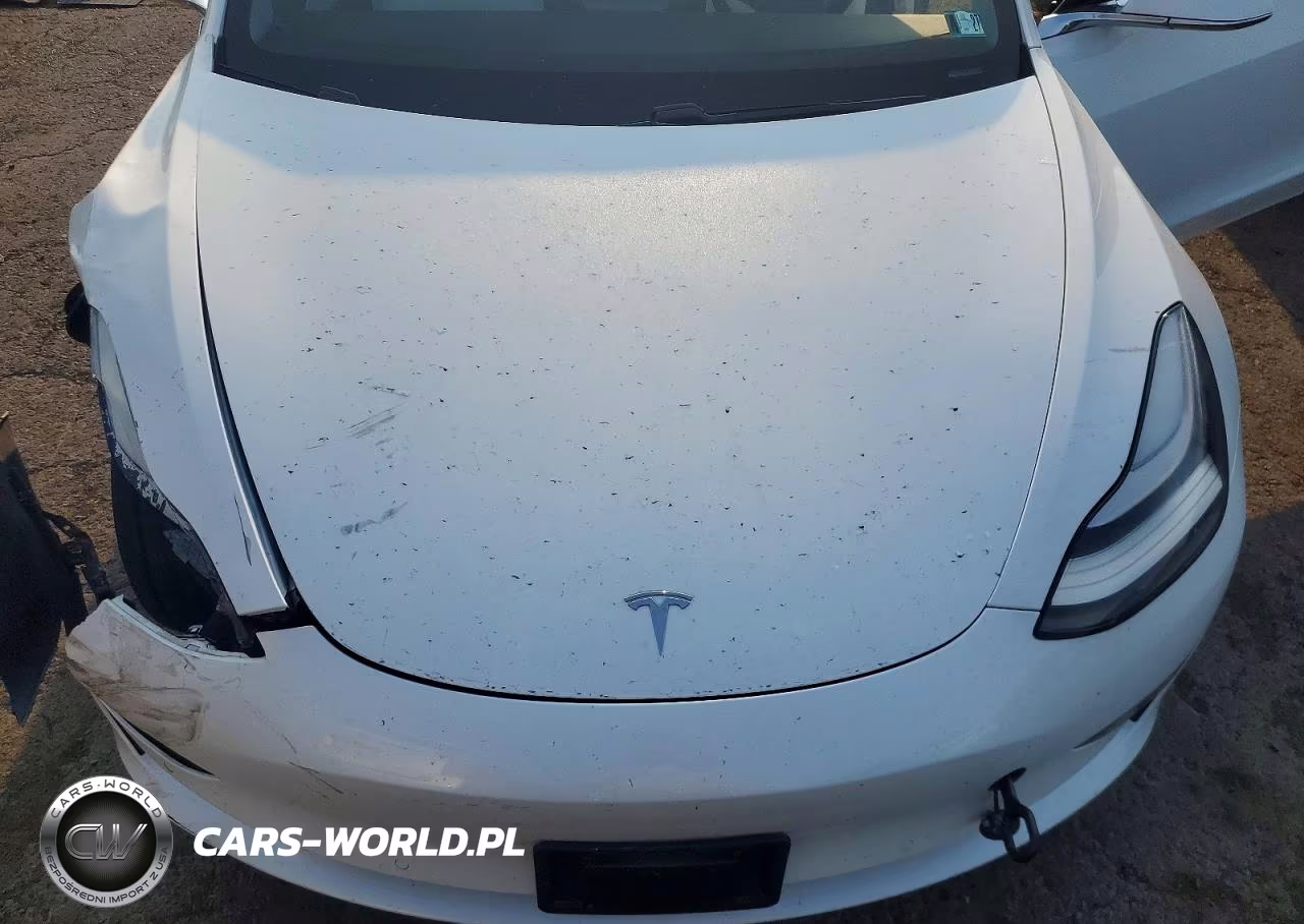 2020 Tesla Model 3 VIN:5YJ3E1EB5LF795891 - 11