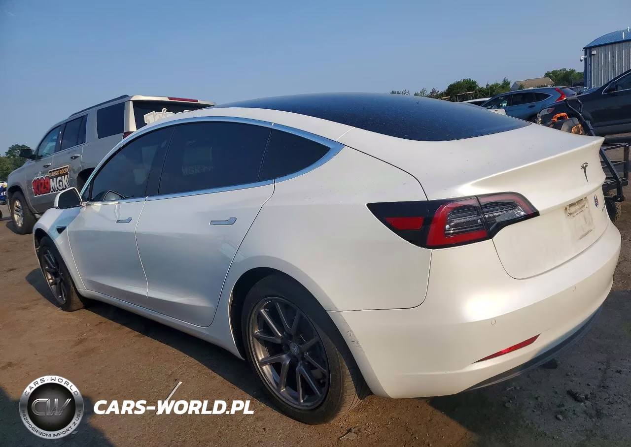 2020 Tesla Model 3 VIN:5YJ3E1EB5LF795891 - 2