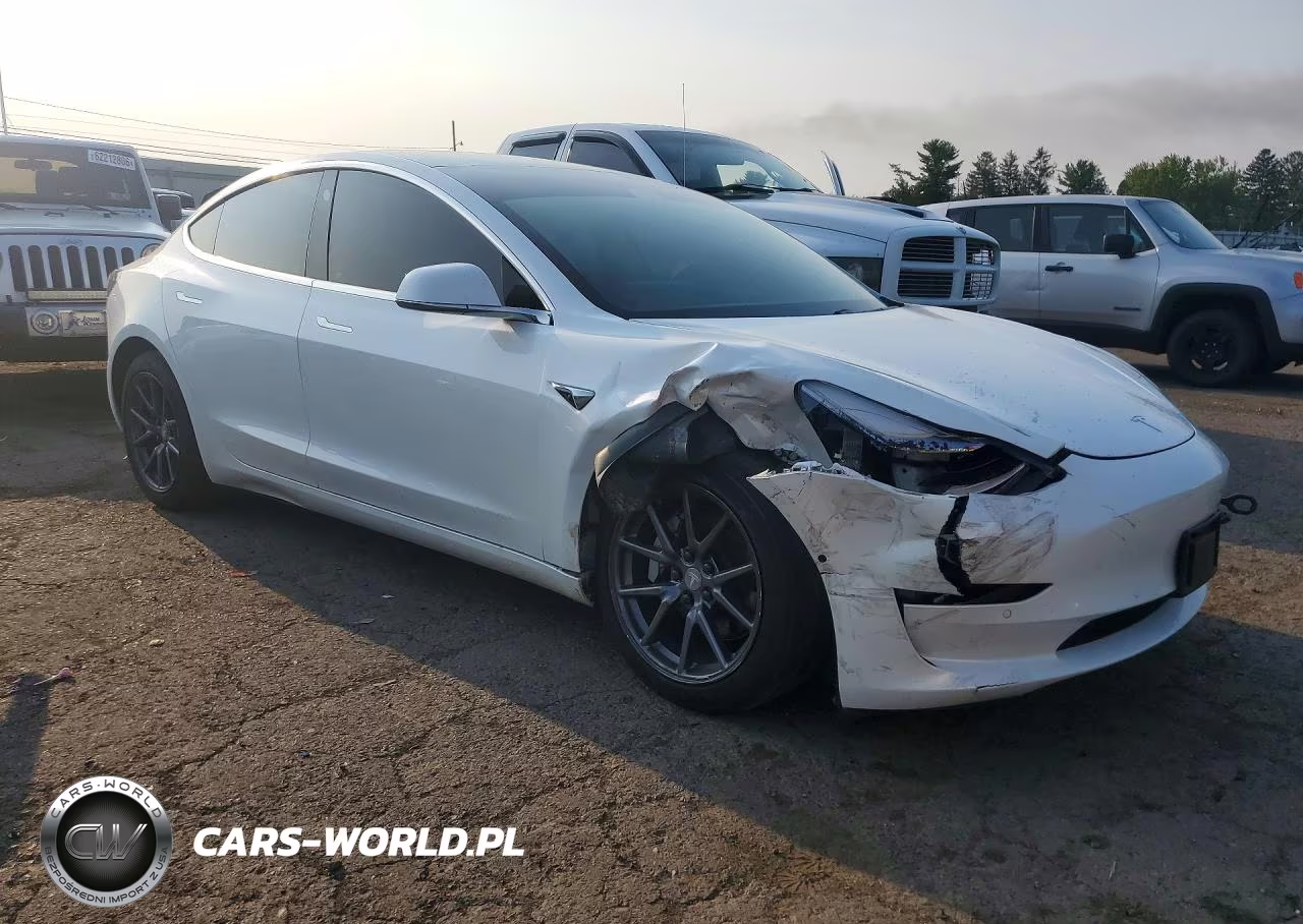 2020 Tesla Model 3 VIN:5YJ3E1EB5LF795891 - 4