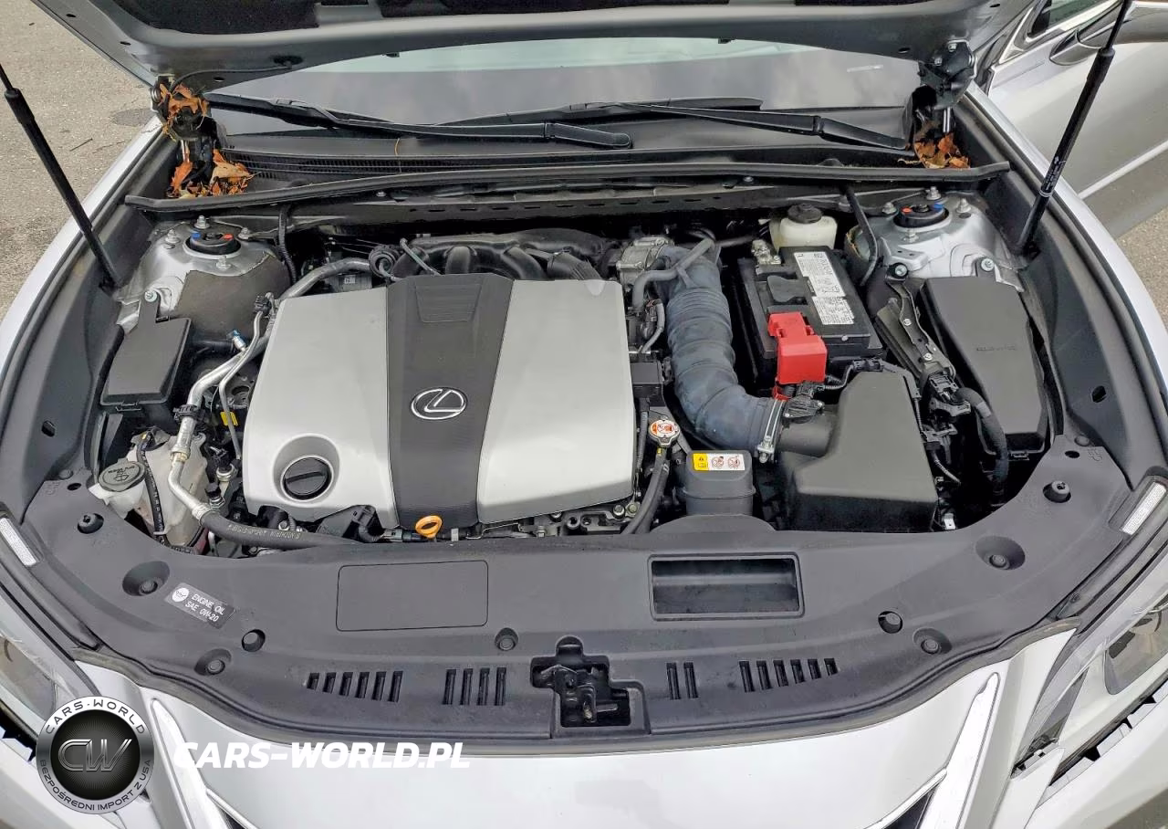 2024 Lexus Es 350 Base VIN:58ADZ1B16RU170523 - 11