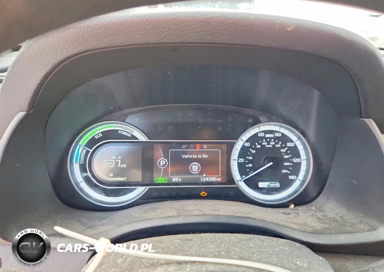 2019 Kia Niro Lx VIN:KNDCB3LC7K5252297 - 9