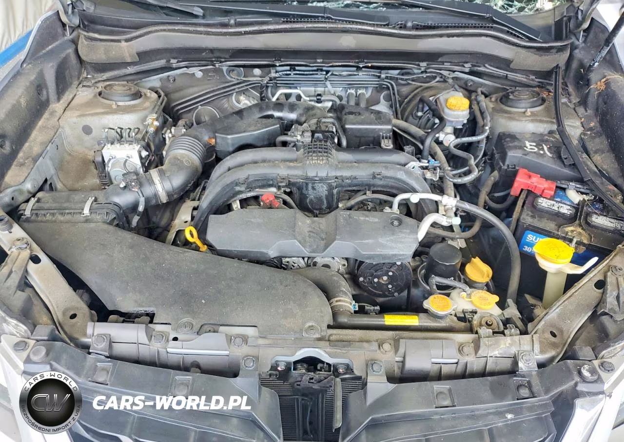2017 Subaru Forester 2.5I VIN:JF2SJAAC3HH453838 - 12