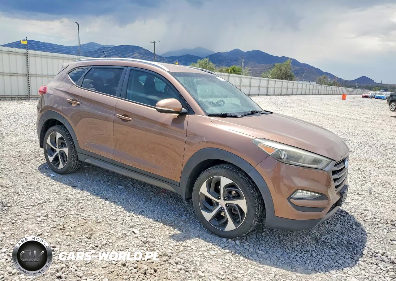 2016 Hyundai Tucson Sport VIN:KM8J33A20GU046729 - 4