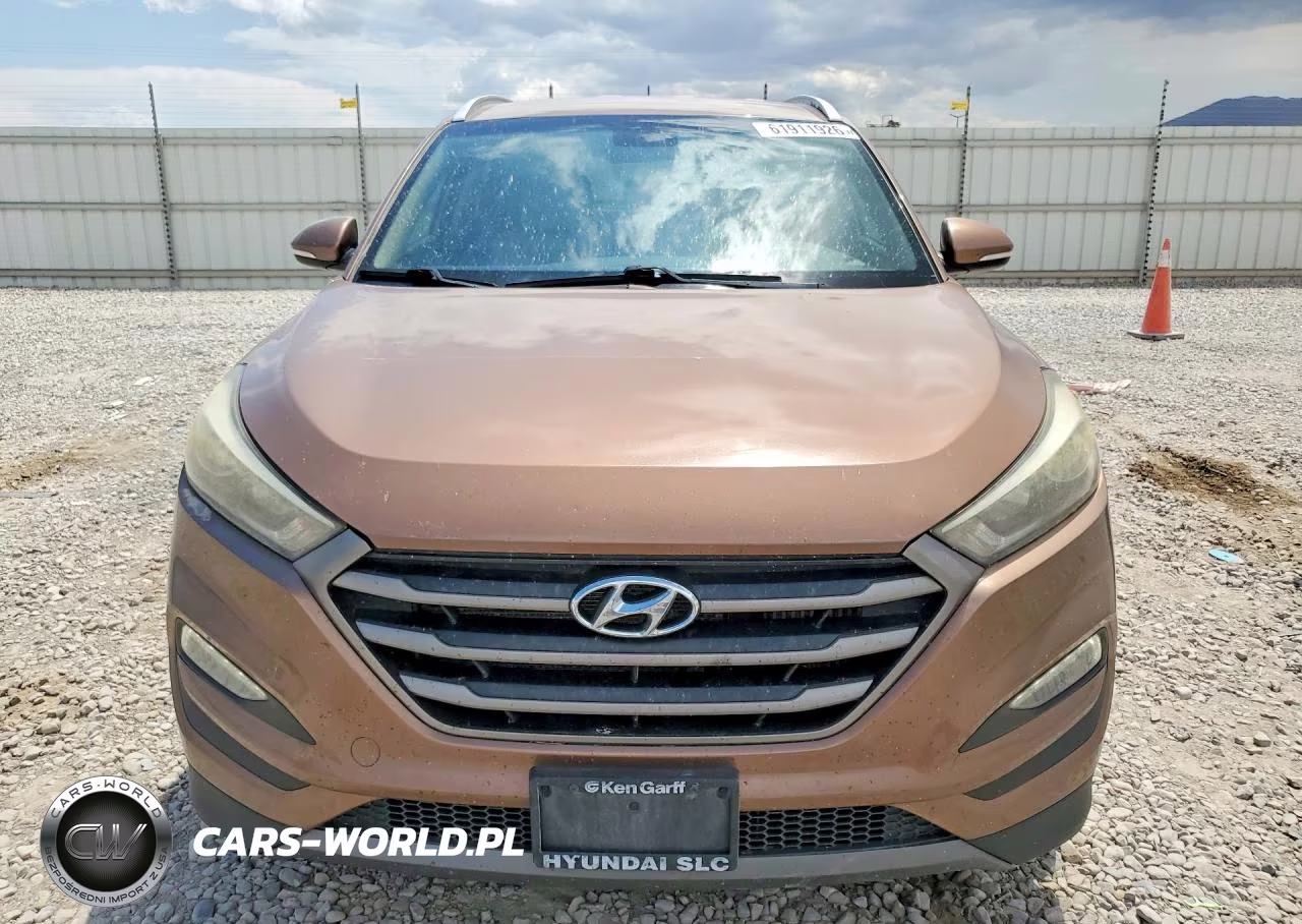 2016 Hyundai Tucson Sport VIN:KM8J33A20GU046729 - 5