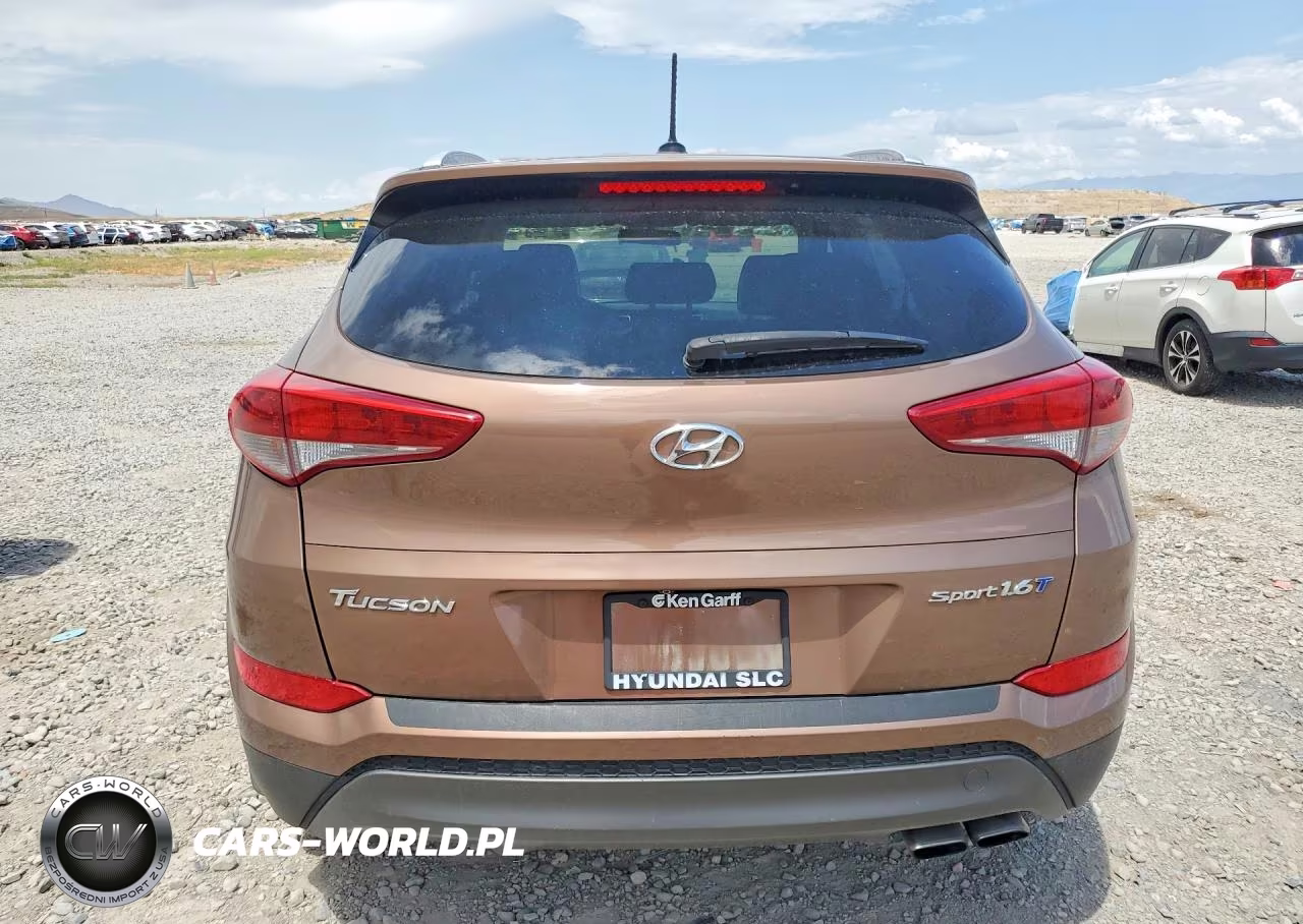 2016 Hyundai Tucson Sport VIN:KM8J33A20GU046729 - 6