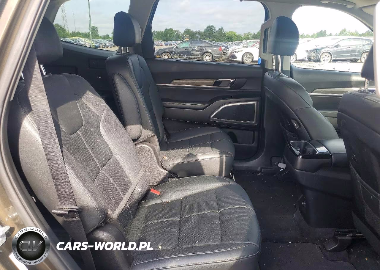 2020 Kia Telluride Ex VIN:5XYP3DHC7LG082187 - 11