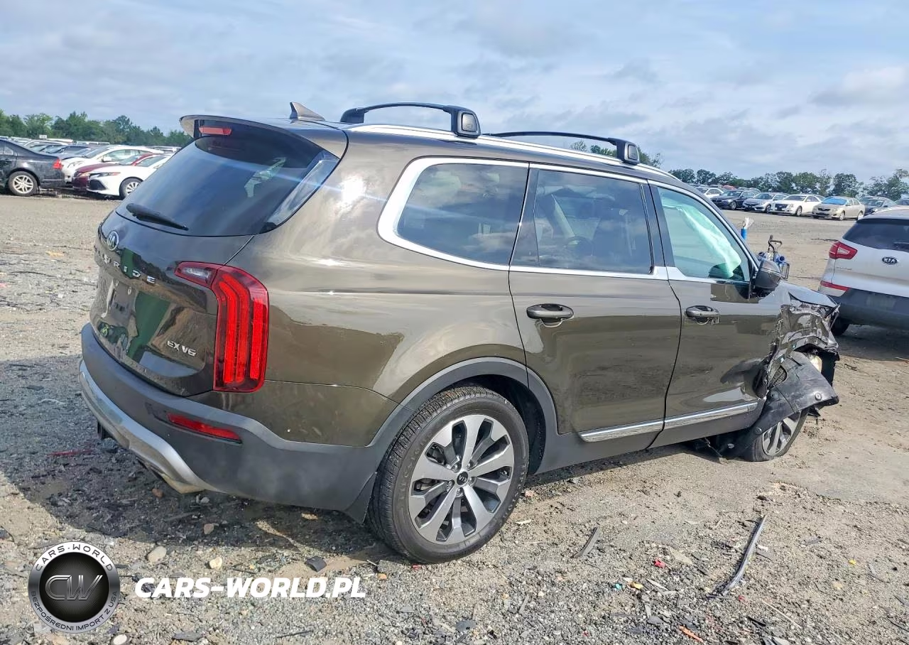 2020 Kia Telluride Ex VIN:5XYP3DHC7LG082187 - 3