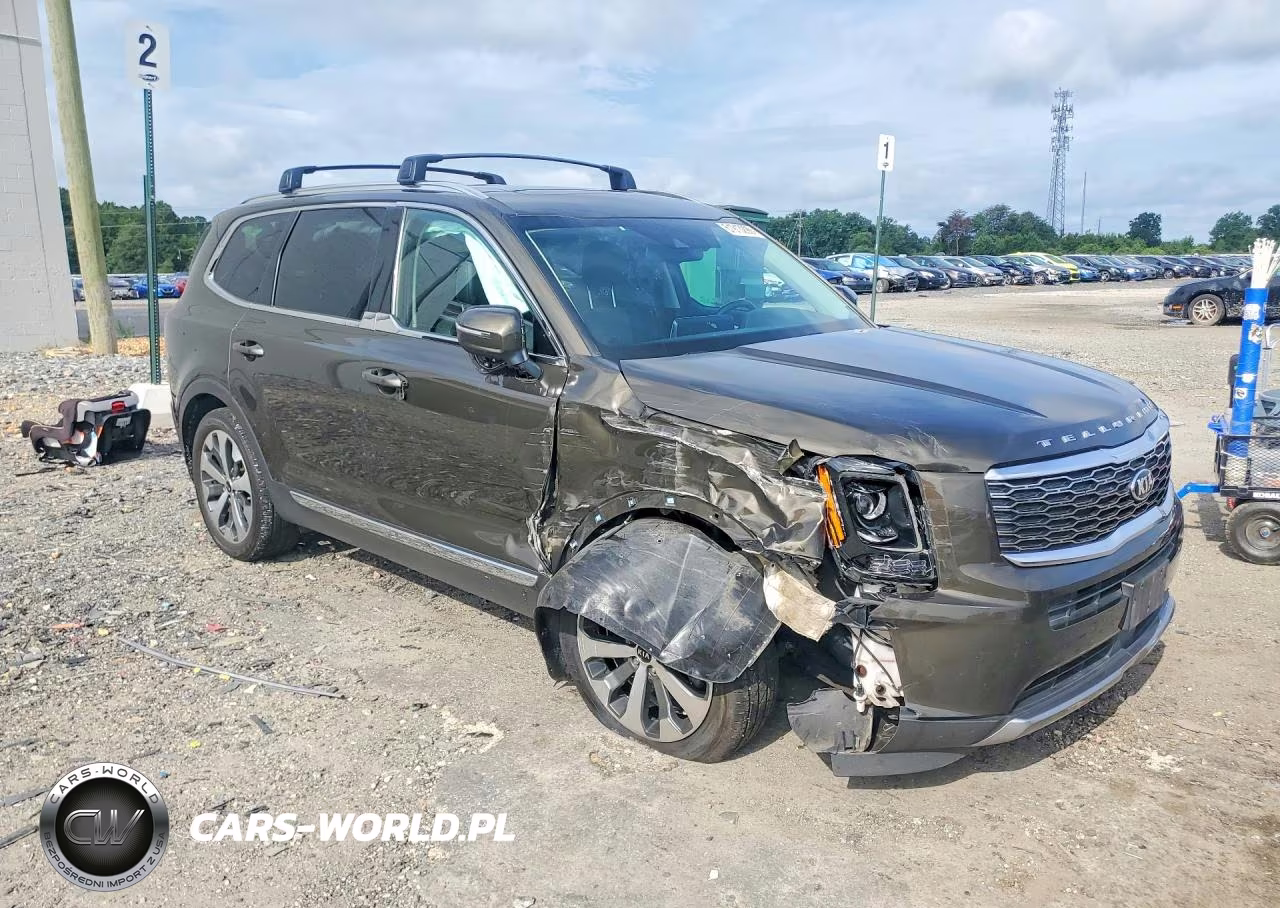 2020 Kia Telluride Ex VIN:5XYP3DHC7LG082187 - 4