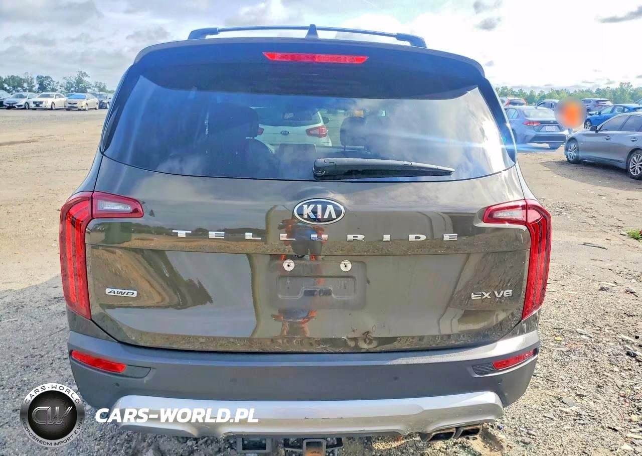 2020 Kia Telluride Ex VIN:5XYP3DHC7LG082187 - 6