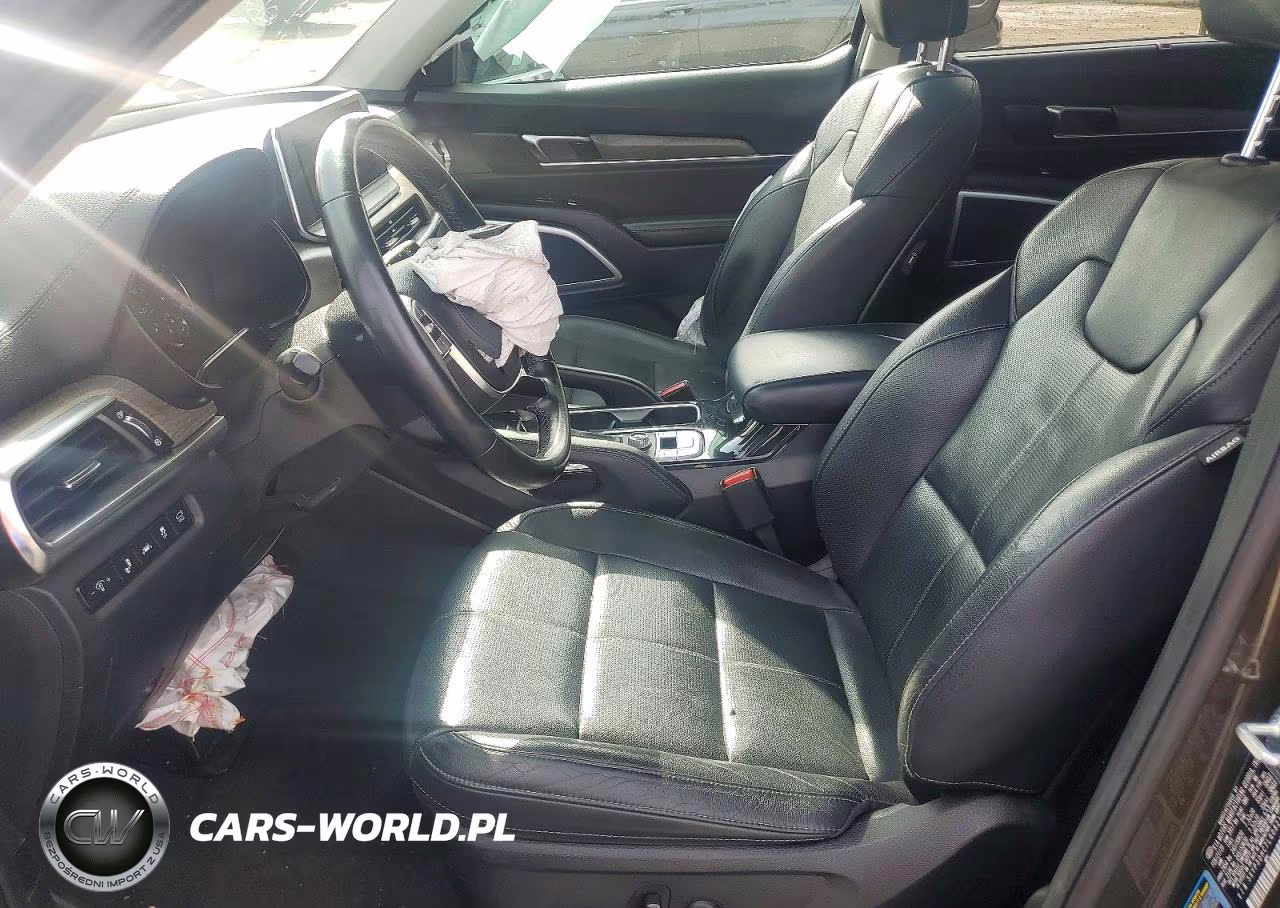 2020 Kia Telluride Ex VIN:5XYP3DHC7LG082187 - 7