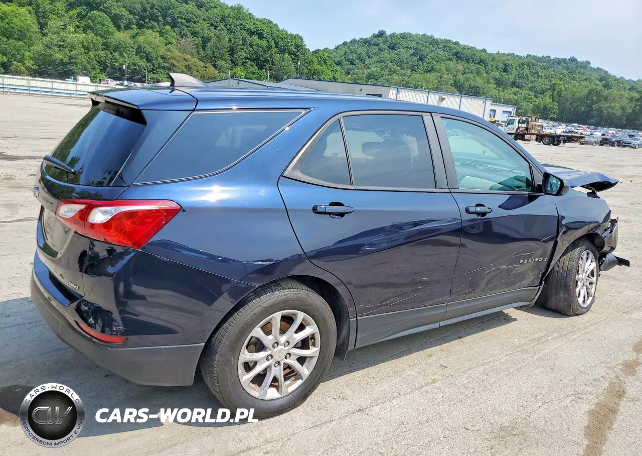 2020 Chevrolet Equinox Ls VIN:3GNAXSEV7LS652411 - 3