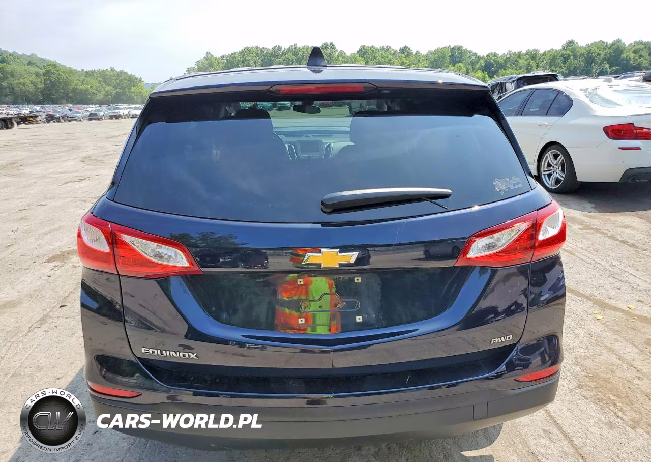 2020 Chevrolet Equinox Ls VIN:3GNAXSEV7LS652411 - 6